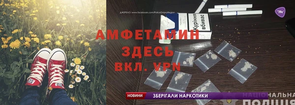 ГАЛЛЮЦИНОГЕННЫЕ ГРИБЫ Балахна